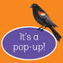 POP-UP SURPRISE AUTUMN IN THE FOREST - FINCH. RUSTY; LONGHI. KATYA